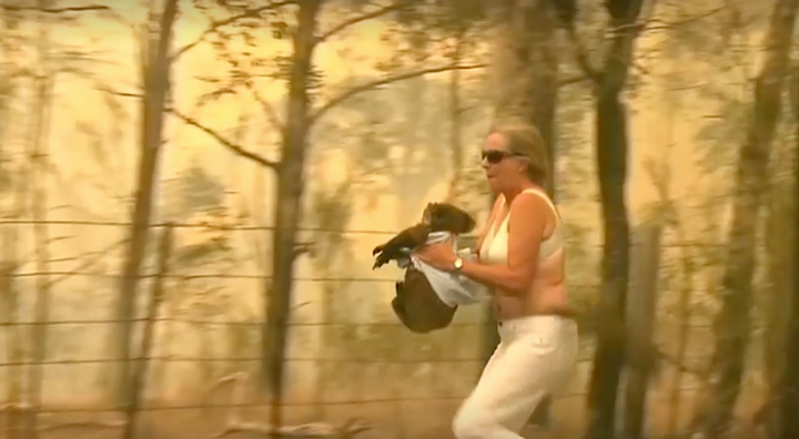 Woman in Long Flat risks her safety to saved scorched koala from NSW bushfires. 