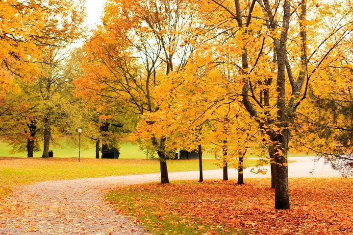 Autumn in Hagaparken.