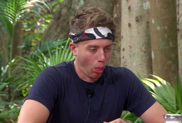 Im A Celebrity: Roman Kemps Face Says It All As Hes Confronted With Massive Bull Penis