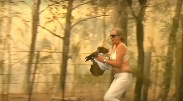 Toni Doherty in Long Flat risked her safety to saved scorched koala from NSW bushfires.