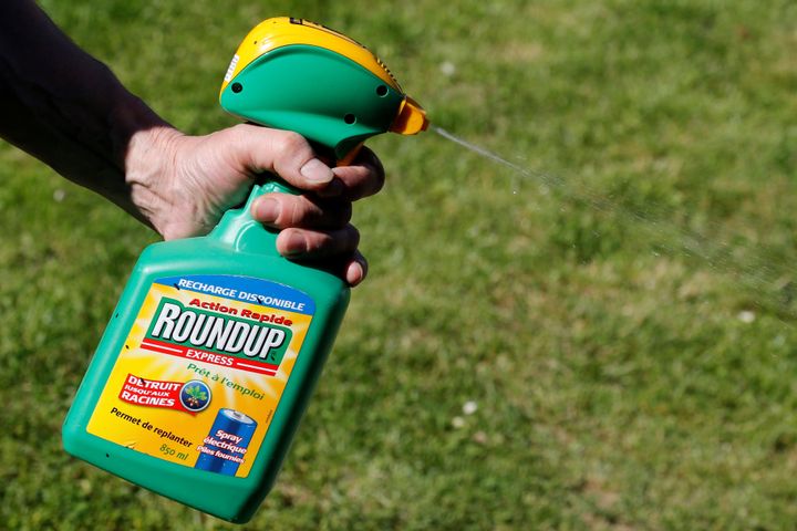 A man uses a Monsanto's Roundup weedkiller spray containing glyphosate in a garden in Bordeaux, France, June 1, 2019.