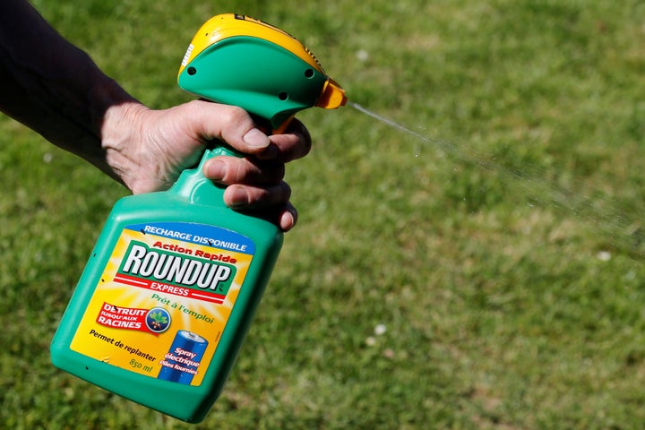 A man uses a Monsanto's Roundup weedkiller spray containing glyphosate in a garden in Bordeaux, France, June 1, 2019.