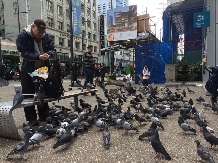 A man feeding pigeons in downtown Vancouver.