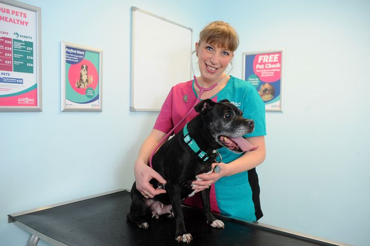 Karen has been a veterinary nurse for nearly 27 years.