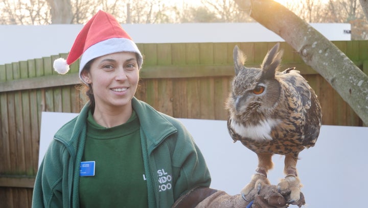 Veronica Heldt, zookeeper at ZSL London Zoo.