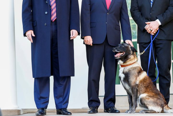Vice President Mike Pence pets Conan, the U.S. military dog that was part of and was injured in the U.S. raid in Syria that killed ISIS leader Abu Bakr al-Baghdadi last month. The dog was honored at the White House Monday (President Donald Trump is on the left).