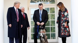 Trump décore Conan, le “chien le plus célèbre du monde”, héros du raid contre