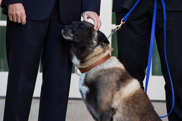 Mike Pence et son chien Conan, de l'armée américaine qui a participé au raid qui...