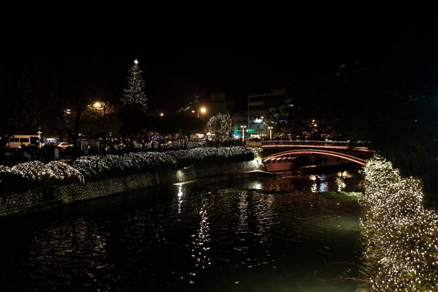 Τρίκαλα: Φωταγωγήθηκε το ψηλότερο φυσικό χριστουγεννιάτικο δέντρο της