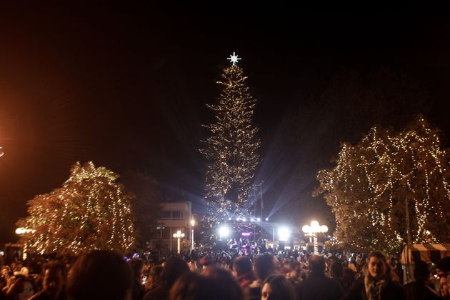 Τρίκαλα: Φωταγωγήθηκε το ψηλότερο φυσικό χριστουγεννιάτικο δέντρο της