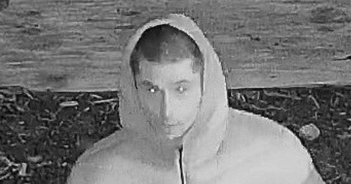 Intruder Hunted After ‘Young Boy Sexually Assaulted In His London ...