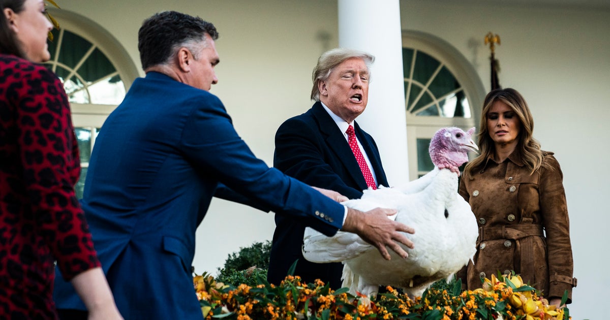 Thanksgiving Day Graziato Butter E Trump Schernisce I Democratici L Huffpost