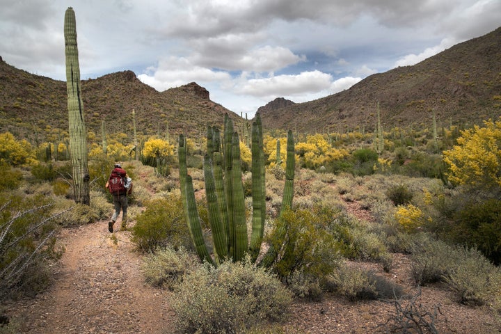 Scott Warren, a volunteer for the humanitarian aid organization No More Deaths, walks into Organ Pipe Cactus National Monument to deliver food and water along remote desert trails used by undocumented immigrants on May 10, 2019, near Ajo, Arizona.