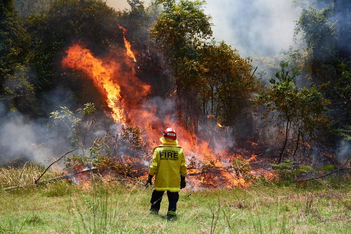 Firefighters continue to battle to contain bushfires across NSW.