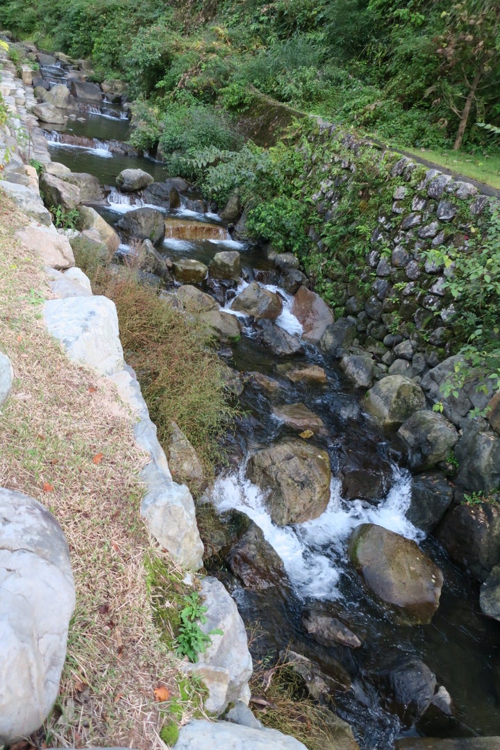 せせらぎが響く永平寺川の脇に、杉と一体化した参道が 