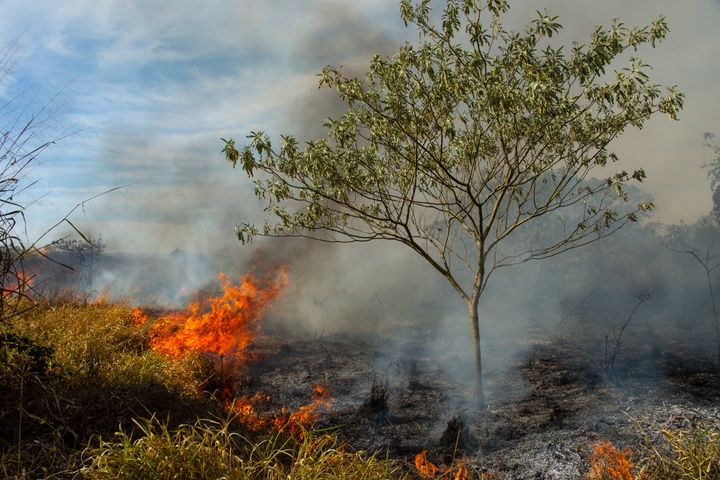 Burning pasture in Brazil on dry season