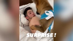 Priyanka Chopra a trouvé le meilleur cadeau pour réveiller Nick