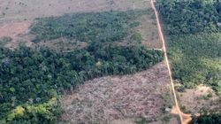 La déforestation en Amazonie n'a jamais été aussi forte depuis
