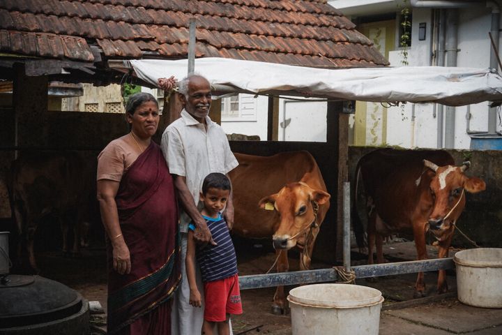 Chitharesh's parents and nephew with the cows in their backyard.