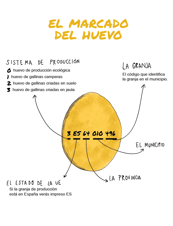 Significado del marcado del huevo