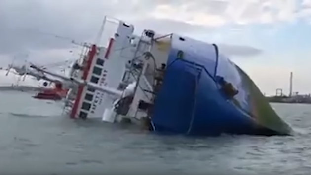 L Operation Pour Sauver 14 000 Moutons Pieges Dans Un Bateau Echoue Est Abandonnee Le Huffpost L Operation Pour Sauver 14 000 Moutons Pieges Dans Un Bateau Echoue Est Abandonnee Le Huffpost