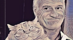 Les internautes se demandent où est passée “la chatte à