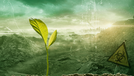 Comment ne pas s’effondrer face à