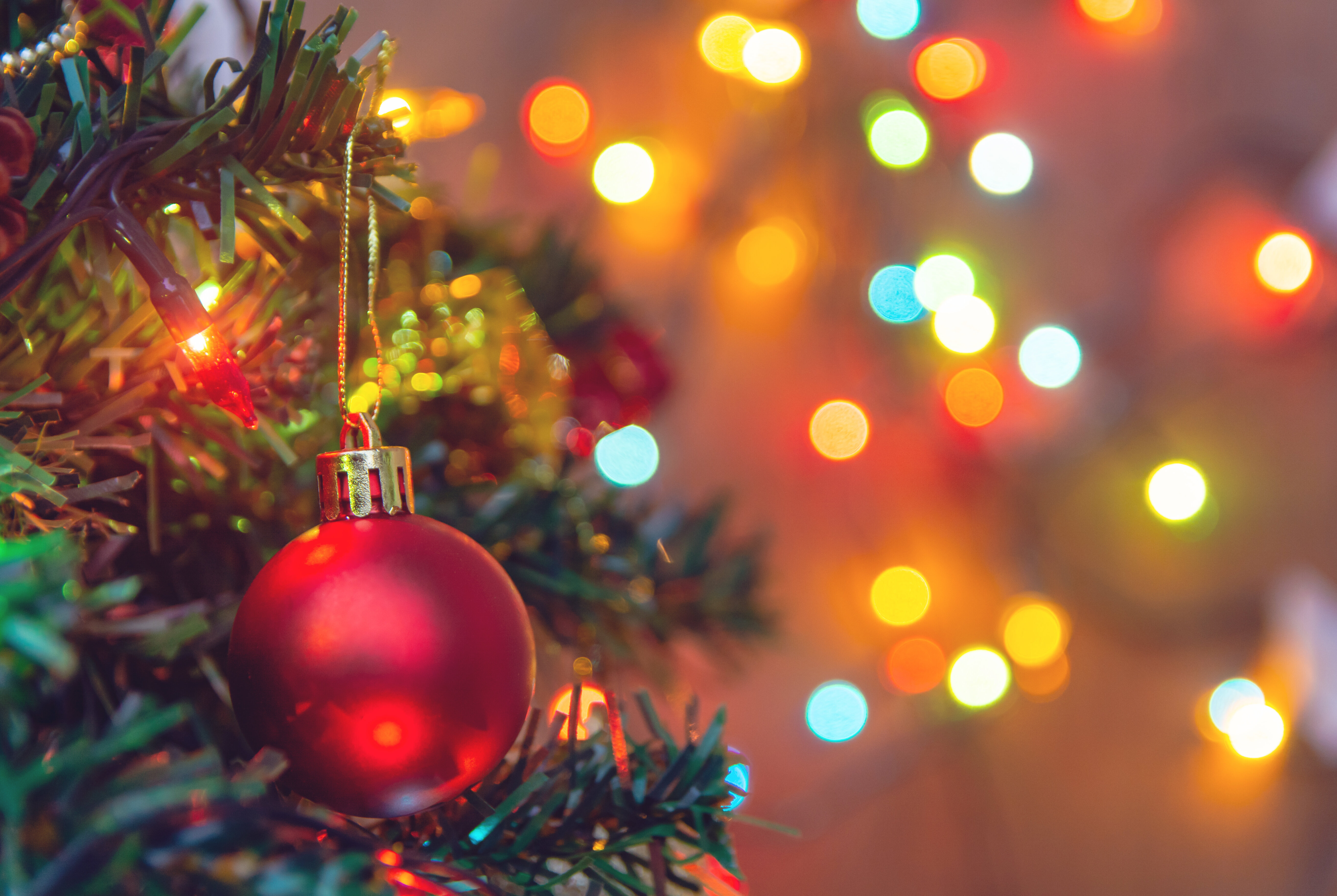 Pour trouver et acheter le sapin de Noël parfait, suivez ce guide  Le Huffington Post LIFE