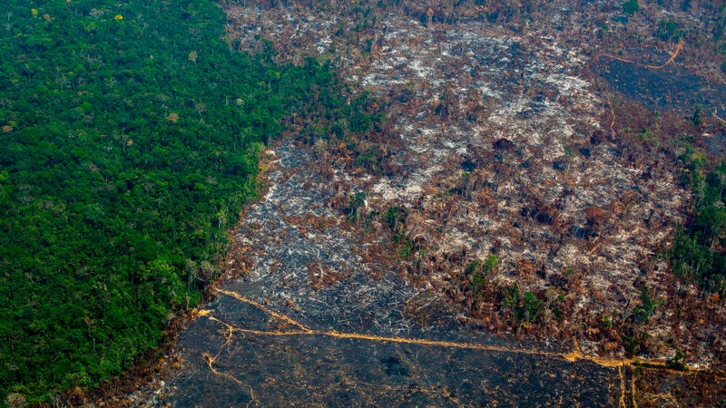 environmental degradation