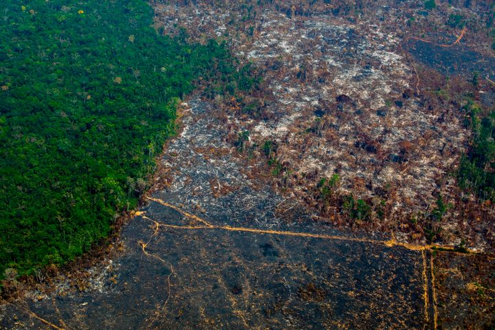 Deforestation in Nascentes da Serra do Cachimbo Biological Reserve in Altamira, Para state, Brazil, in the Amazon basin.