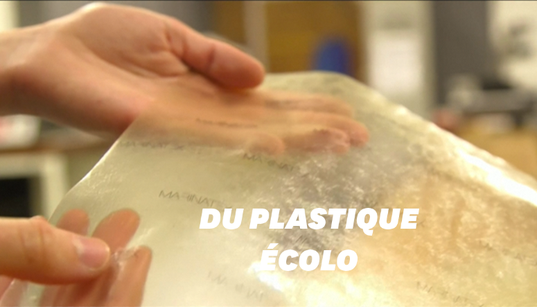 Ce plastique biodégradable est fait d’écailles de