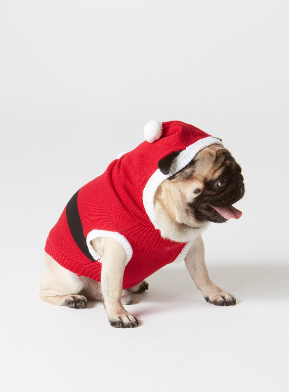 small dog christmas jumper