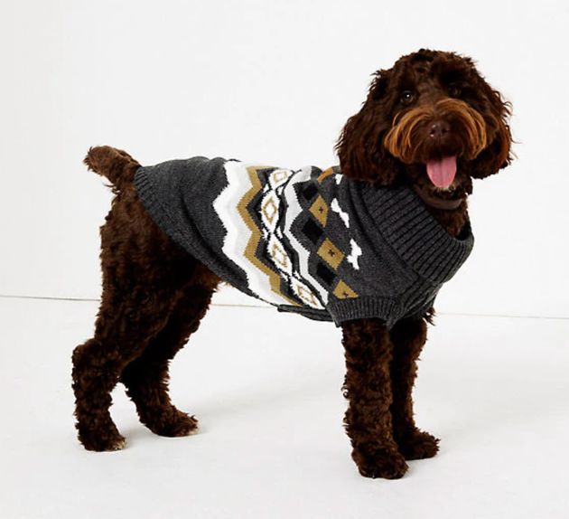 Chevron Stripe Bone Print Dog Jumper, Marks & Spencer, £12.50