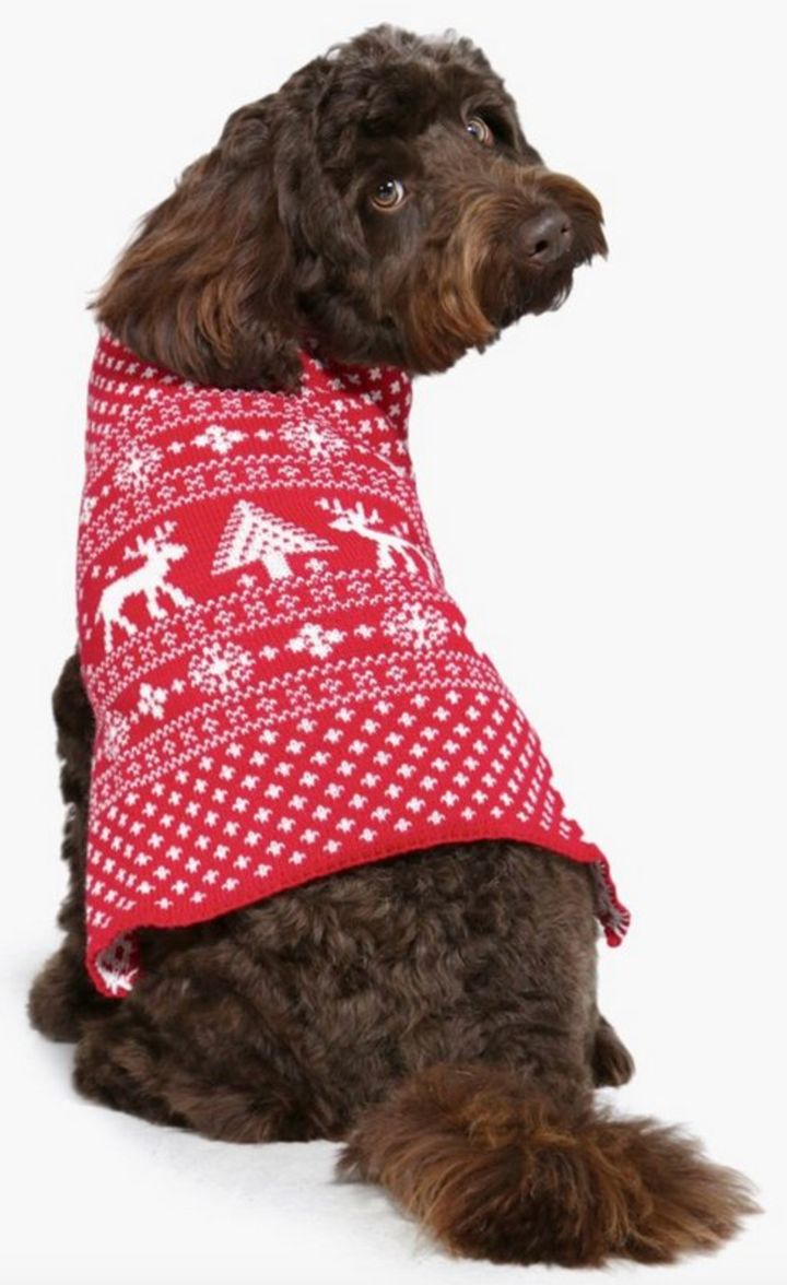 Fair Isle Christmas Dog Jumper, Boohoo, £14.00