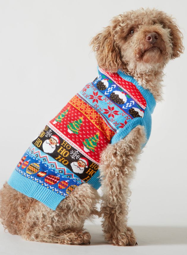 Multicoloured Fair Isle Dog Jumper, Sainsbury’s Tu, £14.00