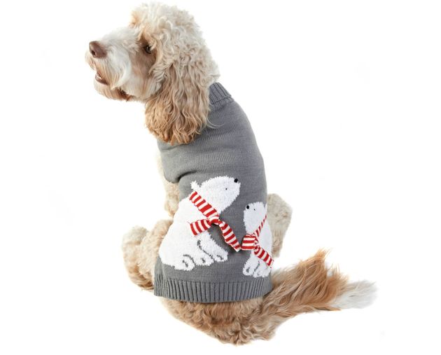 Polar Bears Christmas Dog Jumper, B&M Stores, £4.00