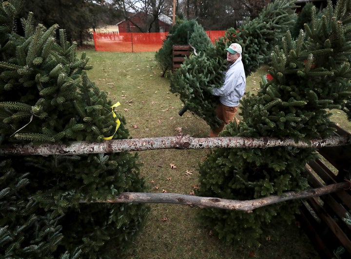 Jim Dohner, owner of Christmas Treeland in Baraboo, Wisconsin, carries a Fraser fir toward a display stand on Nov. 21.