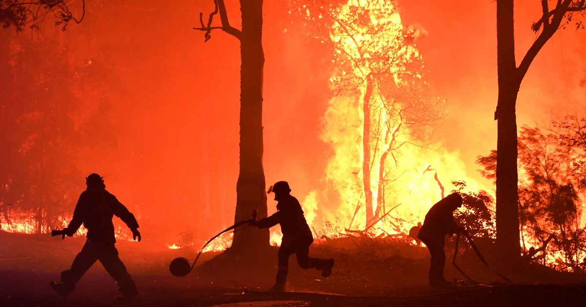 Inflame rage. Bushfires in Australia. Bushfire перевод.