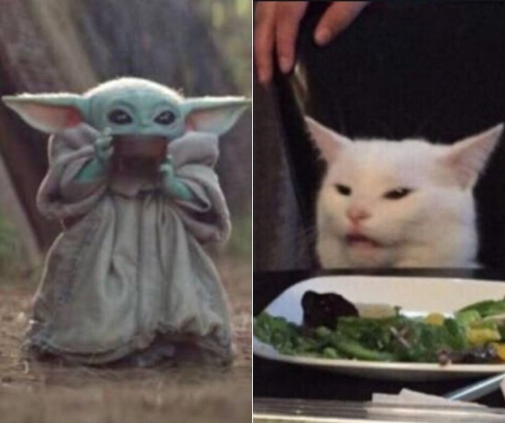 We can't all be Baby Yoda or Smudge the Cat.