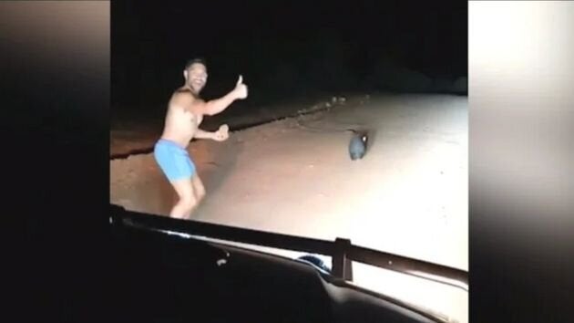 A police officer filmed stoning a wombat on a dirt road in South Australia will not be charged over the...