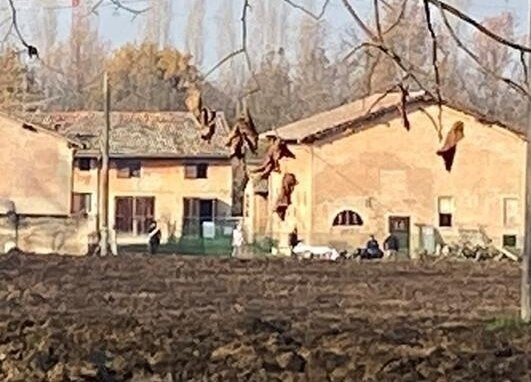 Il custode che ha ucciso il ladro: "Ho mirato verso il capanno, volevo solo spaventarli"