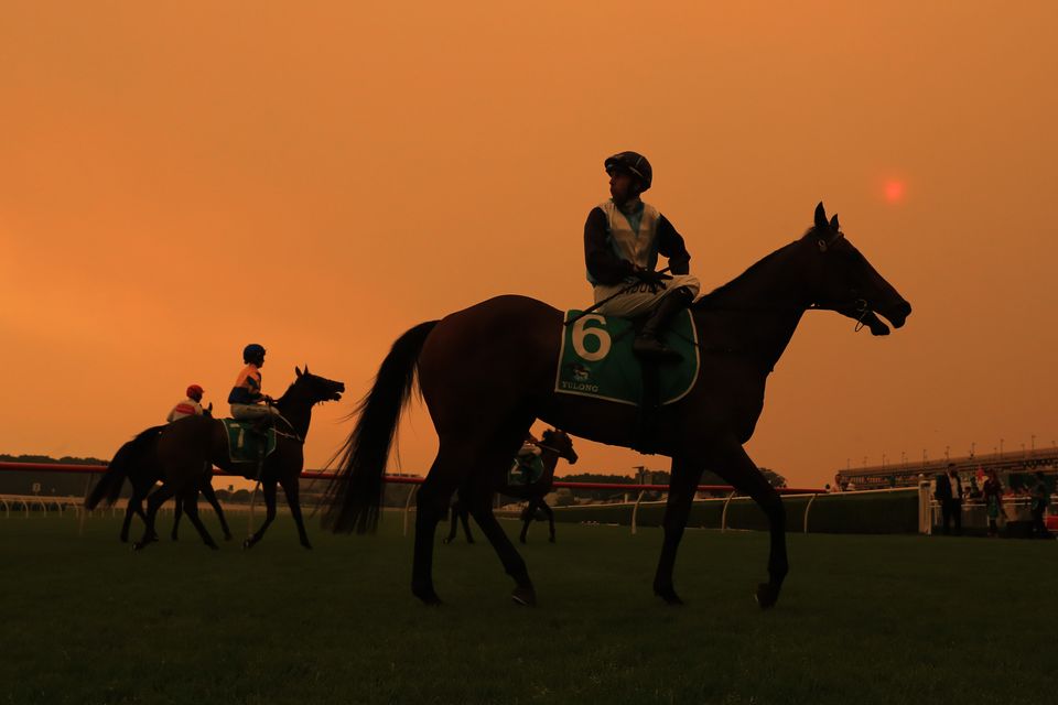 Smoke from the Sydney bushfires turns the sky above a racecourse orange.