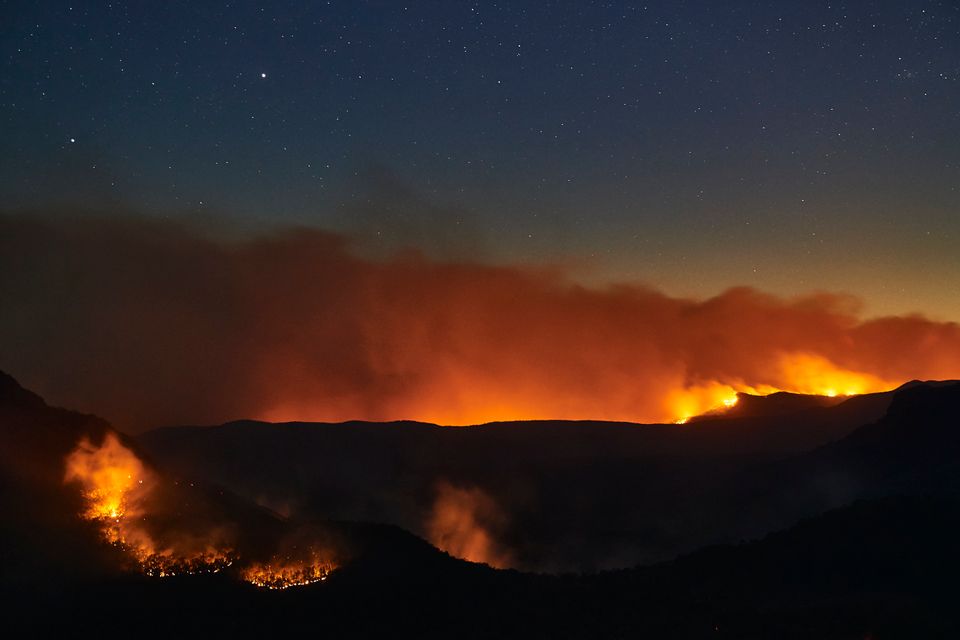 It's not unusual for bushfires to hit Australia in the summer months, but this year the flames have arrived much earlier than usual. 