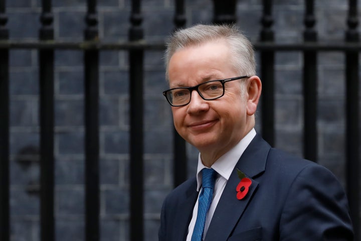 Cabinet minister Michael Gove