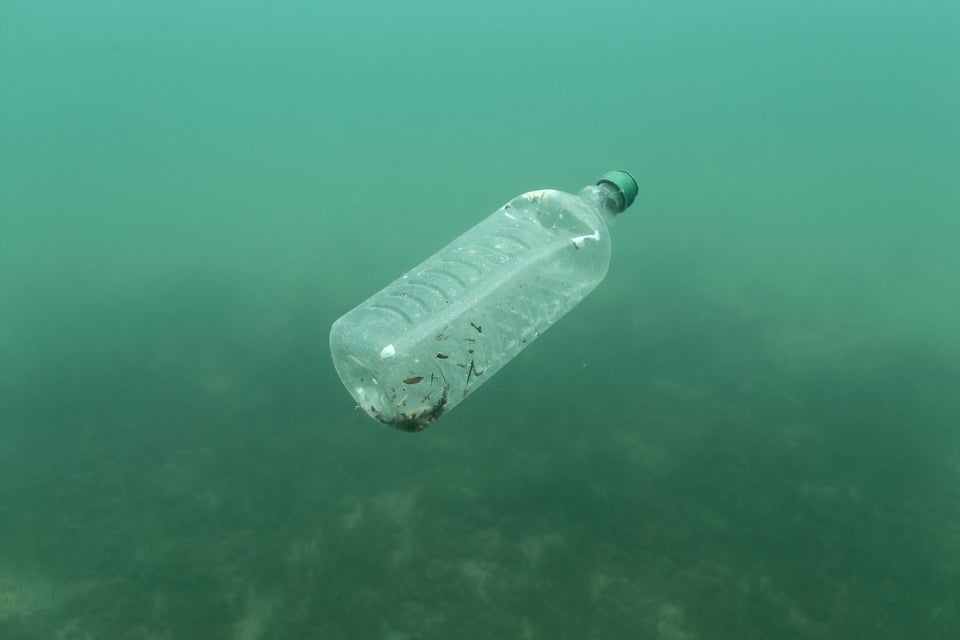 Τα πλαστικά μολύνουν τα πάντα.