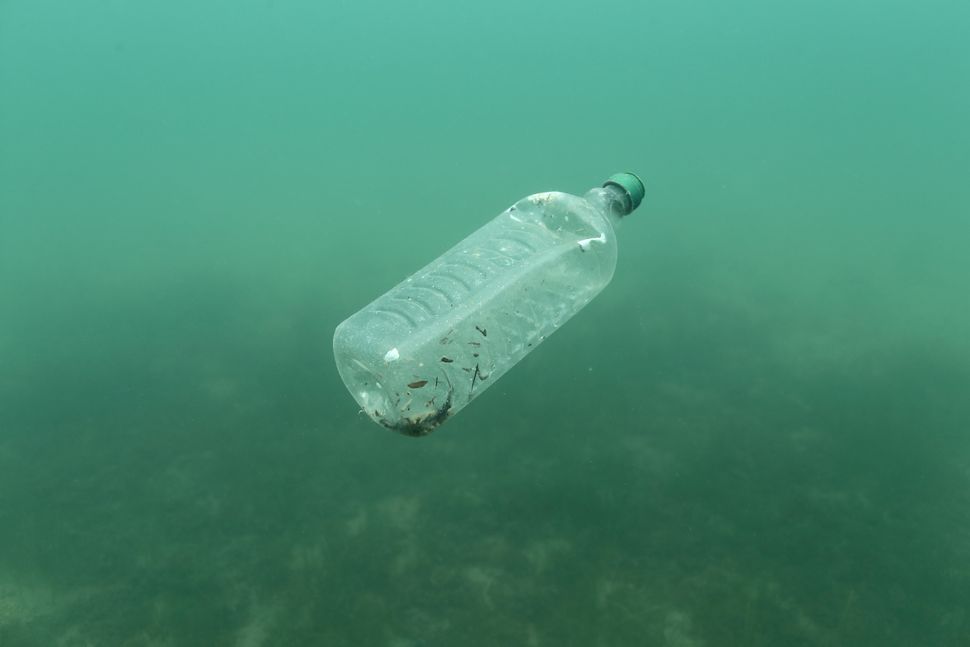 Plastic waste is polluting our land, oceans, and animals.