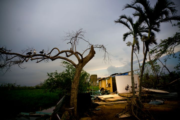 Ό,τι απέμεινε από ένα σπίτι κατά το πέρασμα του τυφώνα Μαρία στο Πουέρτο Ρίκο (2017)
