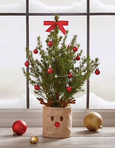 Mini Christmas Tree, Marks & Spencer, £27  