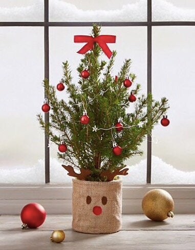 <a href="https://fave.co/36hd4rm" target="_blank" rel="noopener noreferrer">Mini Christmas Tree, Marks & Spencer</a>, £27 