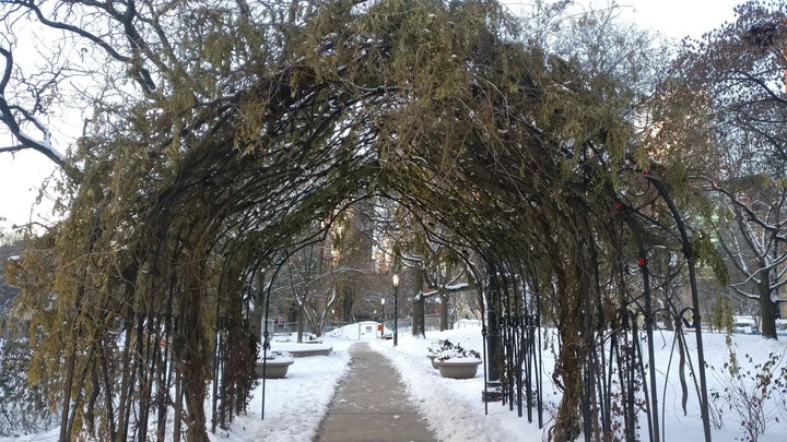 One of my favourite parts of my morning walk is though this archway in St. James Park. 